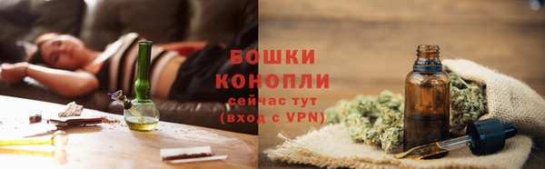 мяу мяу мука Бородино