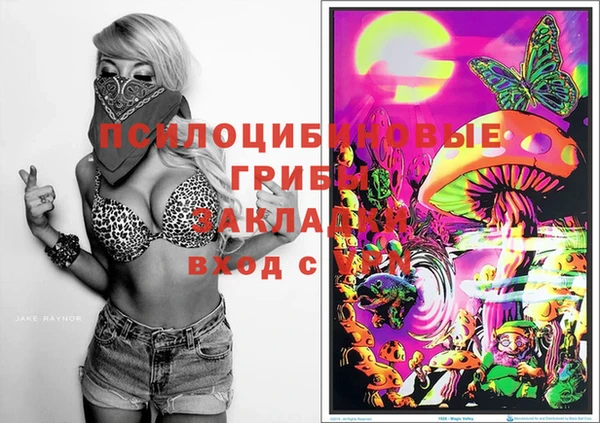прущие грибы Верхнеуральск