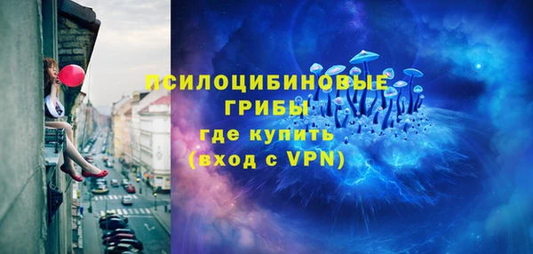 стаф Беломорск