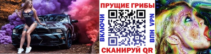 Галлюциногенные грибы Psilocybe  как найти закладки  Видное 